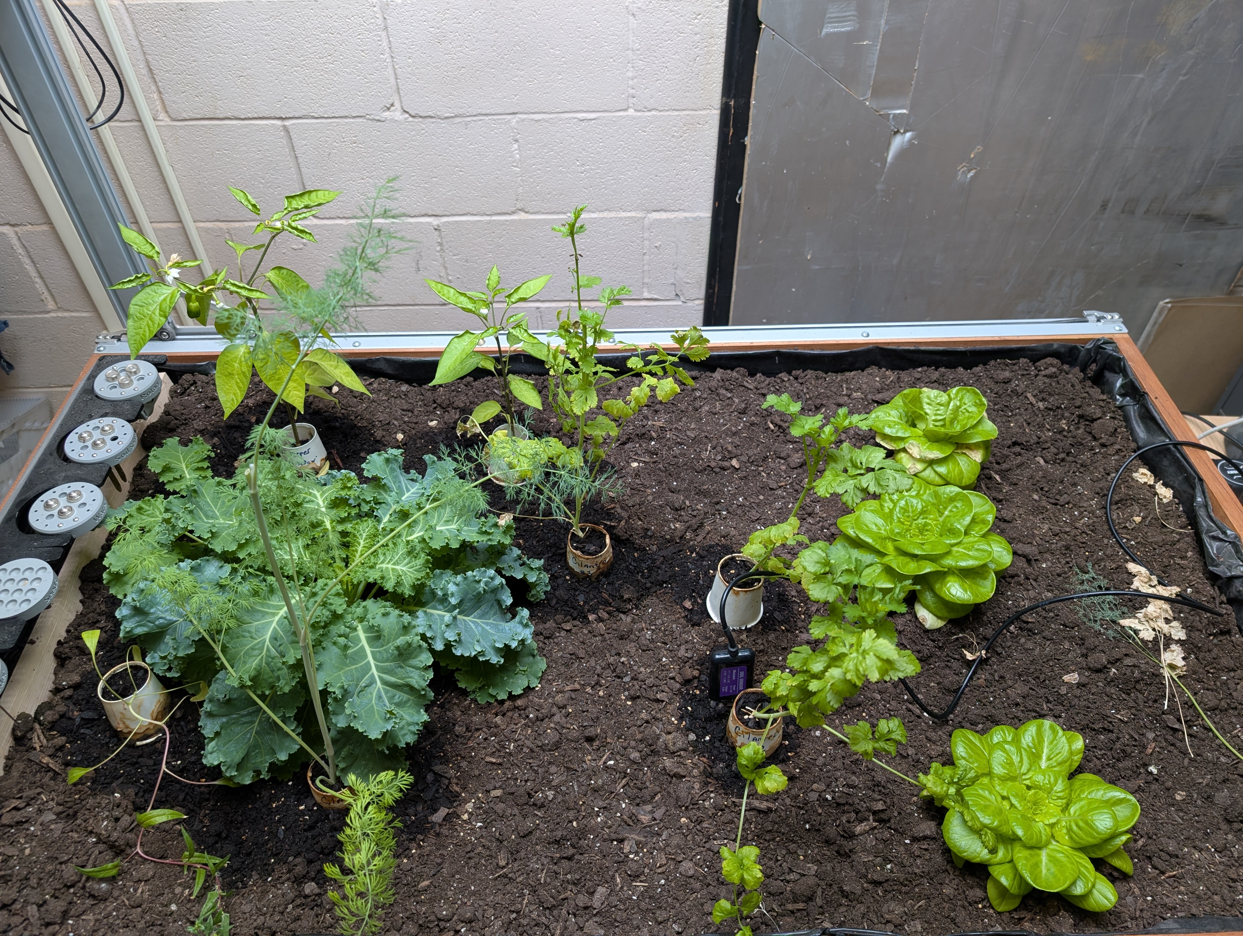 FarmBot Frame Top Down Profile